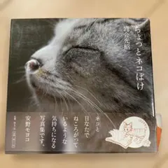 ちょっとネコぼけ 岩合光昭 写真集