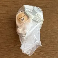 スキズ　skzoo つまんでつなげてますこっと　フォクシニー　アイエン　カニカン