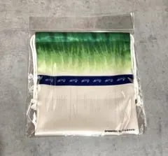 Item thumbnail for item f93713ec-de50-4150-960d-d0dbd8c22e60