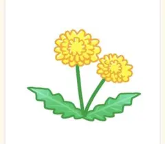 ena様専用