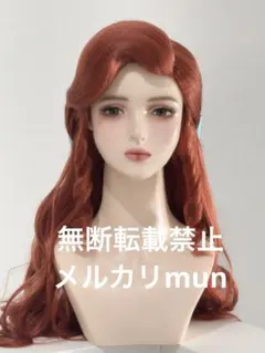 確認用 Dハロ仮装 アリエルウィッグ - メルカリ