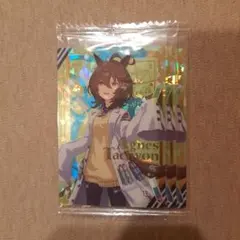 2026年最新】ウマ娘ウエハース アグネスタキオンの人気アイテム - メルカリ