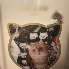 PAUL & JOE ボクサーブリーフ Lサイズ 猫柄