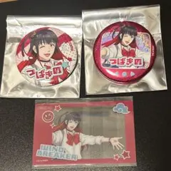 ウィンドブレイカー 平成レトロ 缶バッジ 特典 椿野佑