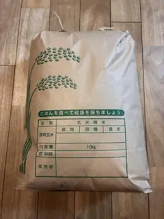 令和7年産 福岡県産 夢つくし 玄米 5kg×2（10キロ）真空パック農薬不
