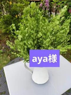 aya様専用