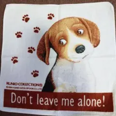 Item thumbnail for item 69869beb-4ef1-4564-9199-909bb77455f4