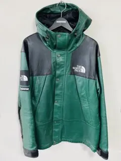 Supreme×THE NORTH FACE レザーマウンテンパーカー L 緑