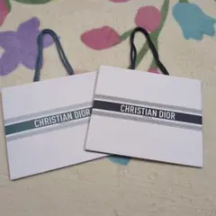 新品未使用　ディオールショッパー限定　グリーン　濃紺　2枚セット