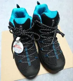 Item thumbnail for item 4270e030-2233-4ccc-bd58-06b580e6c1b3