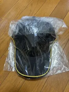 Item thumbnail for item 48a49bb7-bdff-4a1f-ac7a-3185108eeb1c