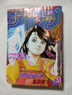 週刊少年ジャンプ 1993年31号 こもれ陽の下で ドラゴンボールポスター