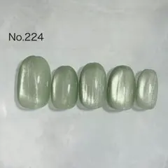 No.224 ネイル　チップ　つけ爪　マグネットネイル　ジェルネイル