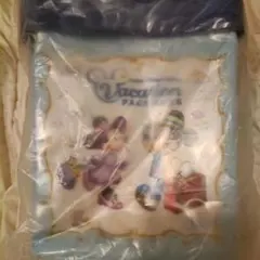 ディズニー バケーションパッケージ ポップコーンバッグ