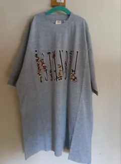 Item thumbnail for item 0d82d081-158f-4b96-bc63-dd69f57e97fb