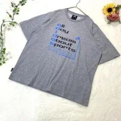 adidas 英字メッセージプリントTシャツ　L グレー　00s Y2Kのサムネイル