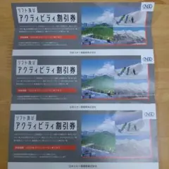 日本駐車場開発株主優待　リフト及びアクティビティ割引券3枚