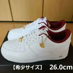 Nine Air Force 1