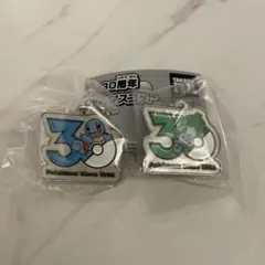 【新品・未開封品】 ポケモン 30周年記念 メタルチャーム マスコット セット
