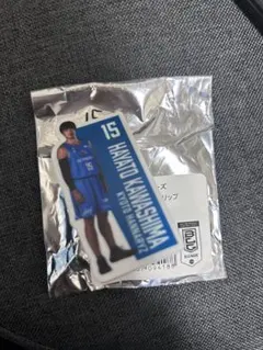 京都ハンナリーズ バスケットボール