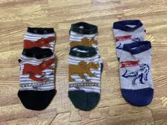 恐竜　靴下　13〜15センチ