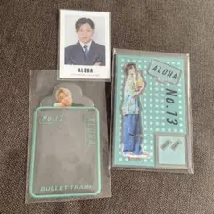 Li SAさま専用　超特急　アロハ　セット No.13 ALOHA