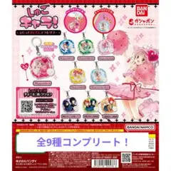 しゅごキャラ！　ふらっとめじるしアクセサリー　全9種セット
