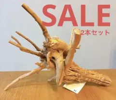 2026年最新】ブランチウッドの人気アイテム - メルカリ