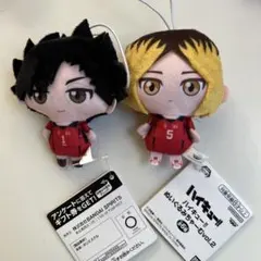 ハイキュー!! ぬいぐるみちゃーむvol.2 音駒セット