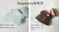 Raspberry様 リクエスト 2点 まとめ商品 ミニチュアドール服 赤ちゃん