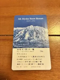 妙高杉ノ原スキー場　1日リフト券 妙高杉ノ原スキー場 1日券 2枚 【公式通販】