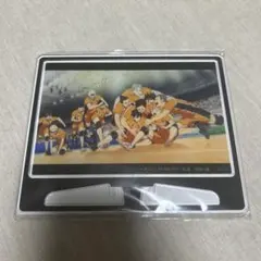 ハイキュー アクリルアートパネル 烏野高校B