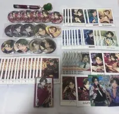 あんスタ蓮巳敬人 パシャこれ ぱしゃっつ 缶バッジ クリアカード アクスタセット