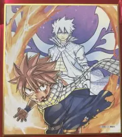 フェアリーテイル FAIRYTAIL 20周年 版画展 ミニ色紙 ゼレフ ナツ