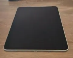 2026年最新】ipad pro 11 第2世代 ジャンクの人気アイテム - メルカリ