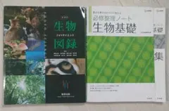 Item thumbnail for item 4e821799-90e6-4650-9f0e-0296d9835d21