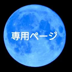 SIZ1013様専用ページ