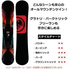中古　NEVER SUMMER　PROTO TYPE2　154　ネバーサマー 抜群のコントロール性を持つNEVER SUMMERの非対称のトゥルー