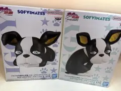 ジョジョの奇妙な冒険 イギー