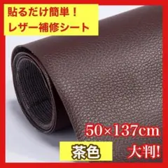 Item thumbnail for item 8bb29719-9553-4e1e-a0ff-0f6e22f2463d