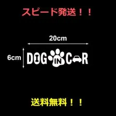 【スピード発送】【匿名配送】Dog in car 　カッティングステッカー　４２