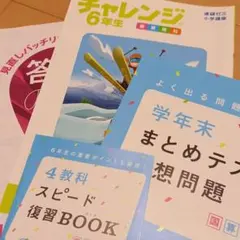 チャレンジ6年生３学期版＋まとめテスト