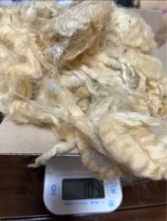 Item thumbnail for item 0af01a7b-ba06-47c4-b91a-630bcebf6ab4