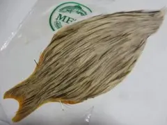 Item thumbnail for item 3ae7d6dc-9afb-4b53-bb23-b7dc969a2bd9