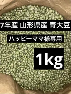 ハッピーママ様専用