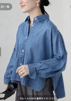 2025年最新】Vermeil par iena ブラウスの人気アイテム - メルカリ