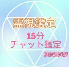 ●霊視チャット鑑定●　15分間　鑑定書発送【決算期価格】