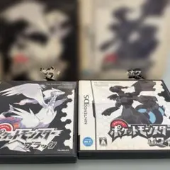 DS ポケットモンスター ブラック ホワイト セット ポケモン
