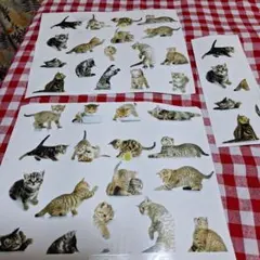 よこっちょ様 リクエスト 2点 まとめ商品