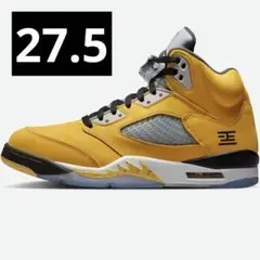 Nike Air Jordan 5 Retro 